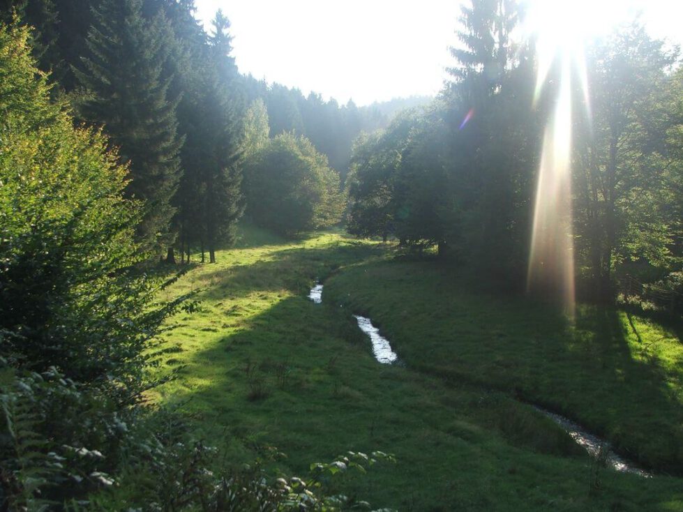 Mehr über den Artikel erfahren Der August ist der Monat der Ernte und des Lichts